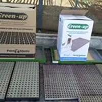 Mudas produzidas em Green-up Bandeja — foto 15