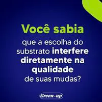 Mudas produzidas em Green-up Bandeja — foto 20