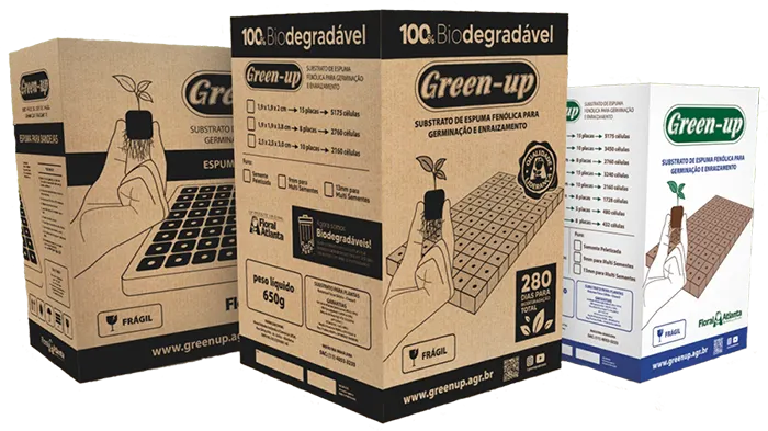 Embalagens Green-up: bandeja, biodegradável e tradicional